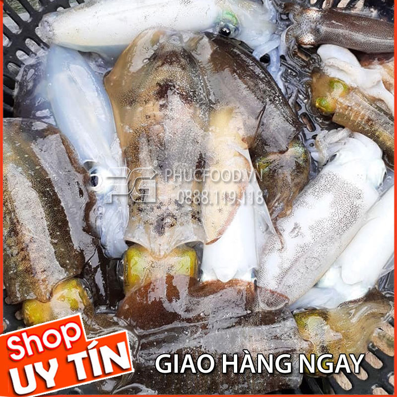 muc-la-tuoi-van-don-co-to-quang-ninh-ha-long (4)