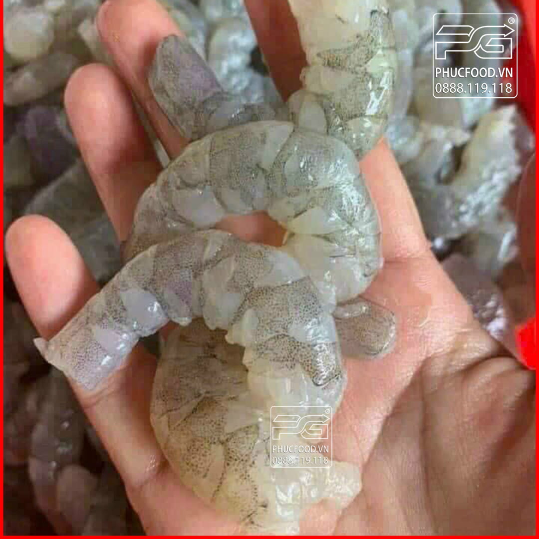tôm nõn tươi